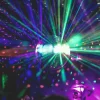 Disco lovers
